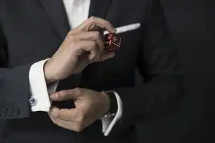 政务和公益域名注册中心事业单位的区别，政务和公益域名注册中心事业单位的区别及功能分析