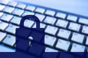域名注册费用高吗安全吗知乎，域名注册费用与安全性分析，揭秘域名注册的真相