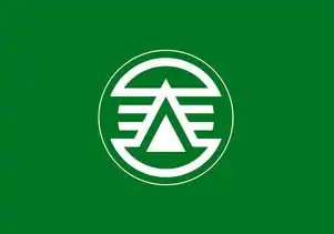 日本云服务器购买，日本云服务器购买指南，性价比之选，助力企业业务腾飞