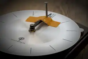 对象存储优缺点，对象存储的优势与不足，揭秘现代数据存储的利弊