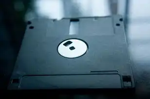 对象存储是什么产品，对象存储软件，揭秘现代数据存储的未来趋势