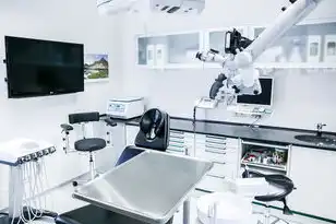 企业租用阿里云服务器费用高吗知乎，企业租用阿里云服务器费用分析，高还是低？深度解读！