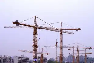 自建服务器与私有云区别在哪，自建服务器与私有云，全面解析两者之间的区别与优劣