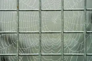 服务器上的防火墙映射端口怎么打开，服务器端口映射，防火墙策略下的高效网络通信保障
