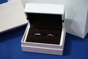 云端服务是什么意思，云端服务，揭秘虚拟世界中的强大力量