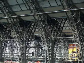 vps远程桌面服务器租用，VPS远程桌面服务器租用攻略，轻松搭建高效远程办公环境