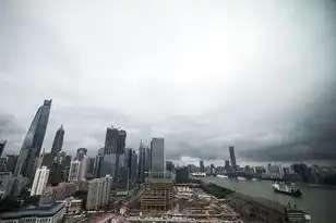 上海云服务平台，上海云服务平台，助力企业数字化转型，打造智能云生态圈