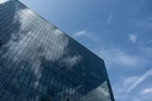 国内四大云服务巨头是哪四家，国内四大云服务巨头，揭秘阿里云、腾讯云、华为云、京东云的崛起之路