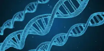 克隆虚拟机步骤图，深入解析克隆虚拟机步骤，从基础到高级操作