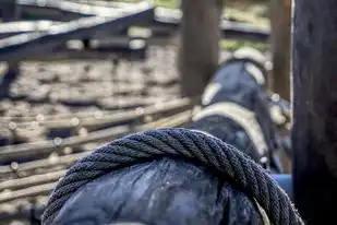动态域名注册地址是什么意思，动态域名注册地址详解，解析动态域名注册过程及注意事项