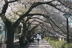 阿里云域名注册教程，阿里云域名注册全攻略，轻松掌握域名注册流程及注意事项