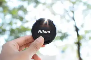域名注册查询，2023年域名注册全指南，从基础操作到高级策略的深度解析与行业洞察
