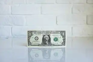 公司域名注册的规定和特点，公司域名注册规定与特点详解，合规之路上的关键指南
