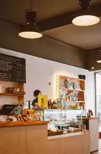 多店铺云服务器怎么用，深度解析，多店铺云服务器使用指南，助你轻松拓展电商业务