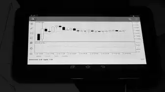 对象存储作为存储方案的是什么类型，深入解析对象存储，作为存储方案的核心优势与实际应用