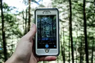 域名注册人怎么查询手机号码，揭秘域名注册人手机号查询方法，隐私保护与合规操作指南