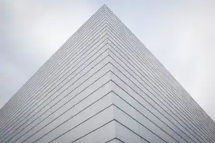 云服务器的结构图，深入解析云服务器的结构，揭秘现代数据中心的核心