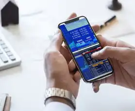 全球域名注册查询在线查询系统，全球域名注册查询在线系统，全方位解析域名注册流程及注意事项