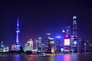 上海市企业云服务平台登录，上海市企业云服务平台，助力企业数字化转型，开启智慧新篇章