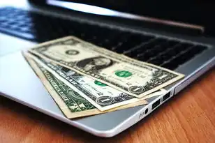 云主机价钱，云主机电脑价格揭秘，不同类型、配置与性价比分析