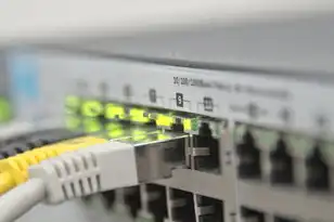 云服务器 物联网，云端服务器在物联网时代的作用与挑战