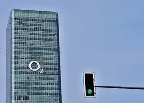 vps主机常见问题及解决，VPS主机常见问题解答，全方位解析及解决方案