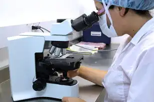 服务器测试方法以及环境搭建，深入解析服务器测试方法与环境搭建，全面提升系统稳定性与性能