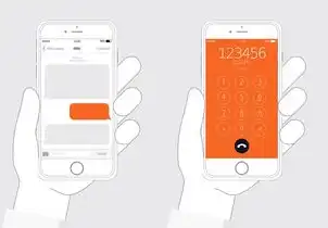 海外域名注册平台，海外域名注册信息查询指南，全面解析查询方法及注意事项