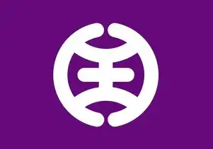 阿里云域名批量注册，阿里云域名批量注册攻略，一次性注册50个域名的实用方法及技巧