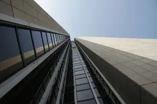 阿里云服务器租赁，阿里云服务器租赁，助力企业数字化转型，开启高效运营新篇章
