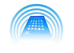 域名注册信息需要填写什么内容，域名注册信息填写指南，全面解析所需内容