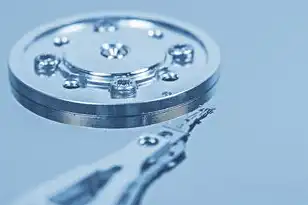 对象存储的原理和应用，深入解析对象存储原理及其应用，构建高效数据存储体系