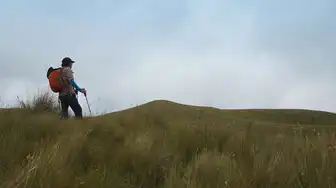 云服务器安装桌面环境异常，云服务器安装桌面环境异常排查与解决方法详解