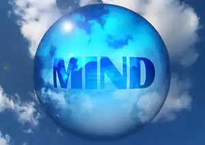 域名注册失败什么原因引起的，揭秘域名注册失败之谜，常见原因及应对策略
