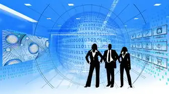服务器部署web项目有哪些，深入解析服务器部署Web项目的步骤与技巧