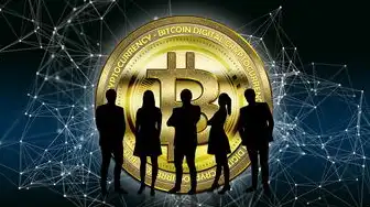 虚拟化后会发生什么情况，虚拟化技术引领网络变革，深入探讨虚拟机二层域的挑战与应对策略