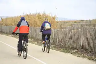 域名注册在哪申请啊怎么填，一站式域名注册攻略，揭秘各大平台申请流程及注意事项