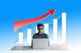 注册公司域名流程，注册公司域名，全面解析注册流程及高效方法