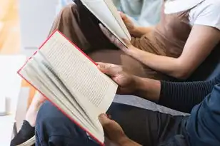 对象存储是，深入解析，对象存储与非对象存储的五大核心区别