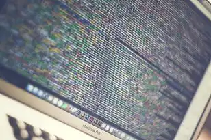对象存储是啥，深入解析对象存储，揭秘其独特文件系统类别与广泛应用