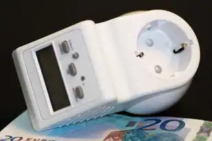 服务器租赁开票项目选什么，服务器租赁费用开票指南，选择项目与操作步骤详解