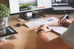域名注册时间怎么查询，如何通过域名注册时间查询域名注册商，详细步骤与技巧解析