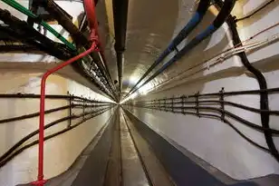 国产服务器虚拟化系统排名，2023年度国产服务器虚拟化系统排名解析，技术实力与市场格局的演变