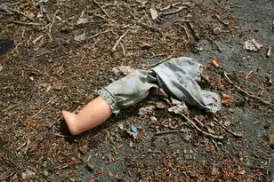 云桌面系统终端配置，云桌面服务器搭建与子终端配置详解手册