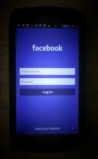 域名注册是干什么的,域名注册,开启网络世界的钥匙,构建个人品牌的基石