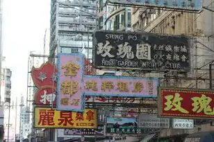 香港域名注册有限公司官网，香港域名注册有限公司，专业域名注册服务，助力企业打造网络品牌形象