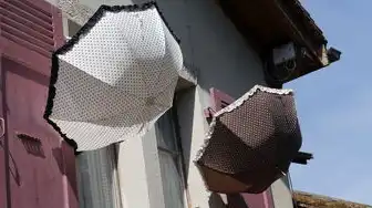 注册域名的法律规定有哪些，我国注册域名的法律规定及注意事项