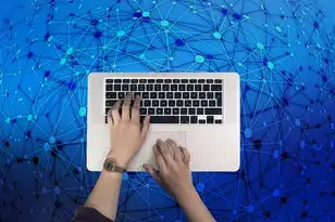 对象存储的类型有哪些，深入解析对象存储类型及其类别，存储时代的未来趋势
