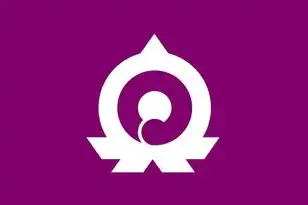 日本云服务器购买，深度解析，日本云服务器购买指南及选购要点全解析