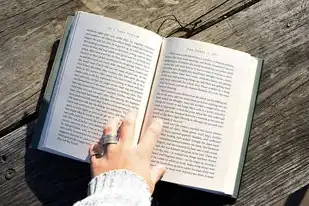对象存储的三种存储类型,深入解析对象存储的三种存储类型,标准存储、低频访问存储和归档存储